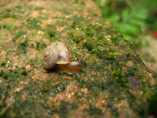 IMG_4828.JPG