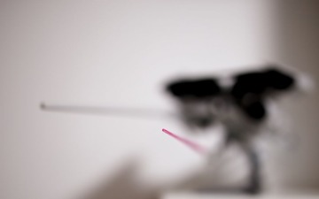 IMG_3233.JPG