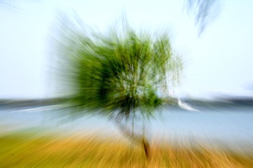 436503