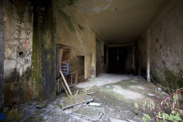 UT6C8011.jpg