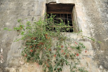 DSC_3432.JPG