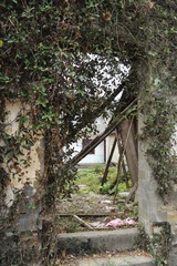 DSC_3561.JPG