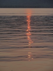 DE0C7665-6B5C-4C42-9A93-4D086929A615/L0/001