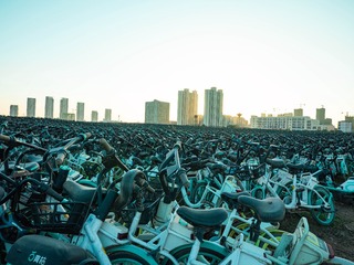 P1350263