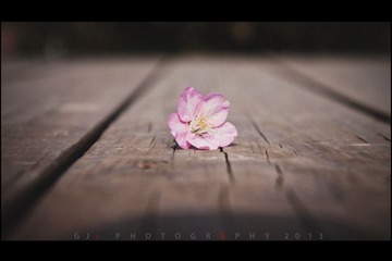 “IMG_9106”为智能对象-1.jpg