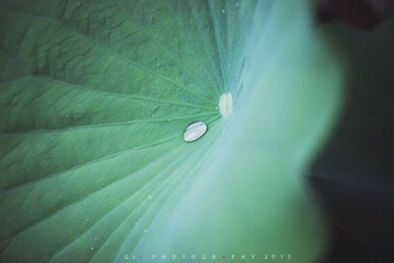 “IMG_1930”为智能对象-1.jpg