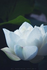 “IMG_2007”为智能对象-1.jpg