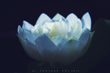 “IMG_1990”为智能对象-1.jpg