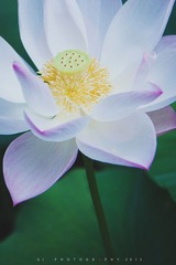 “IMG_2058”为智能对象-1.jpg