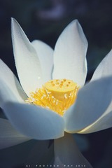 “IMG_2126”为智能对象-1.jpg