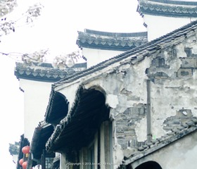DSC_4906-编辑.jpg