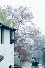 DSC_4915-编辑.jpg
