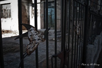 A Little Story（5）