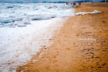 DSC_0175-2