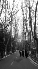 IMG_2145.jpg
