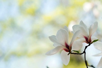 _DSC3216_2.jpg