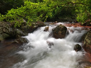 A_6538966