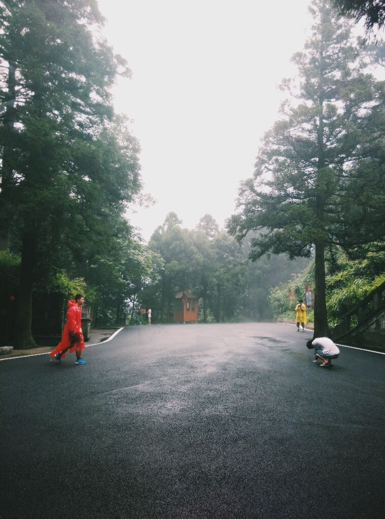 夏雨