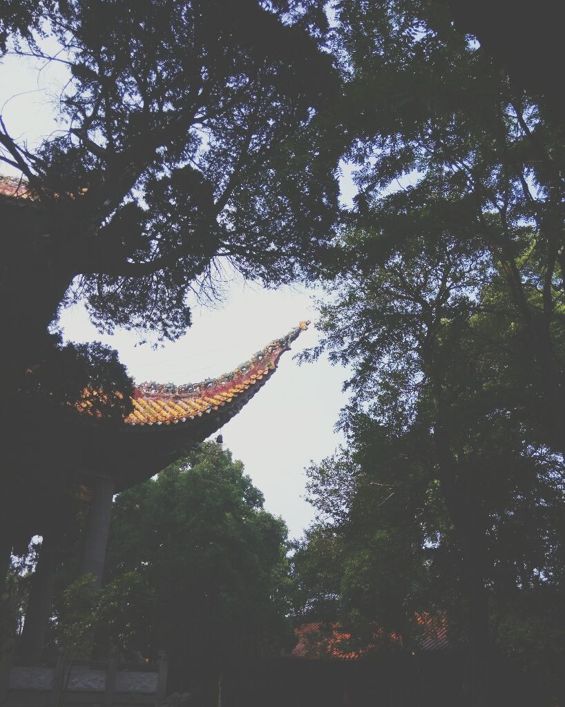 庙宇