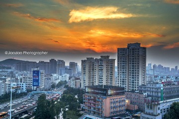 _DSC2919-1
