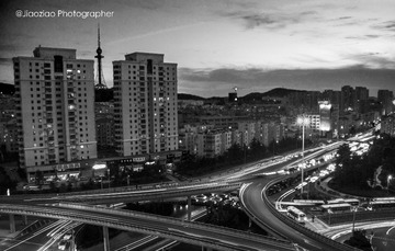 _DSC2950-2