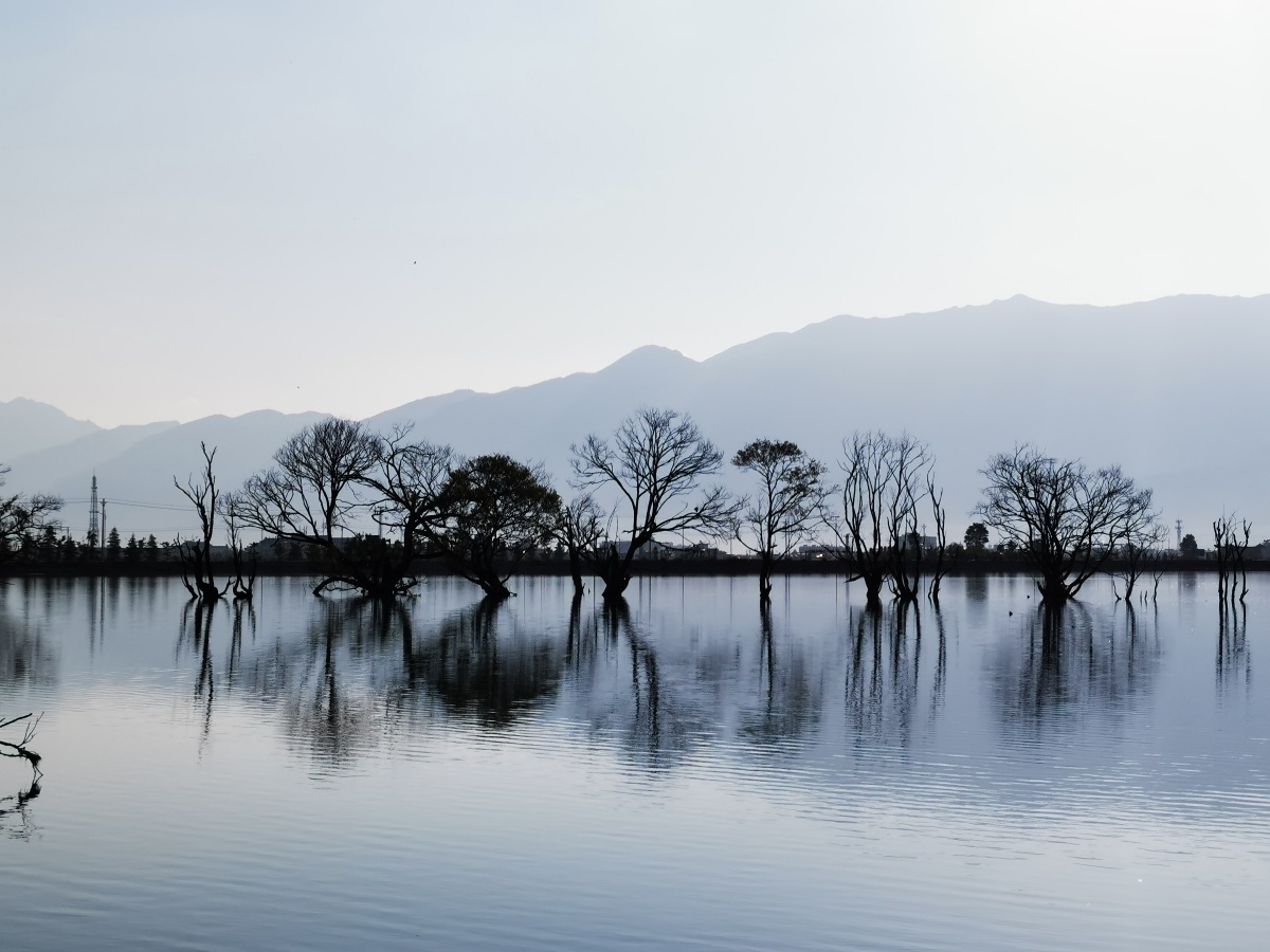 清晨湖光山色之树影黄龙潭晨光之一