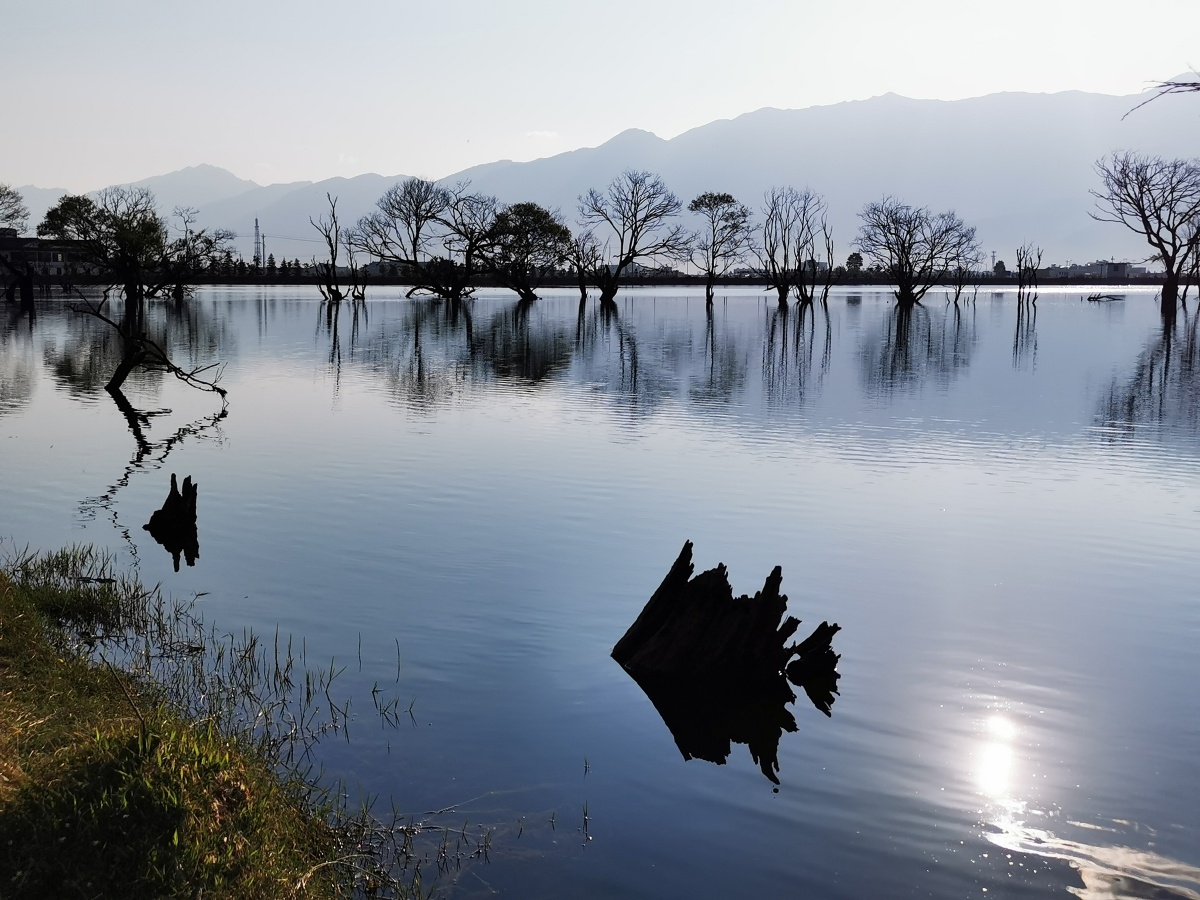 清晨湖光山色之树影黄龙潭晨光之一