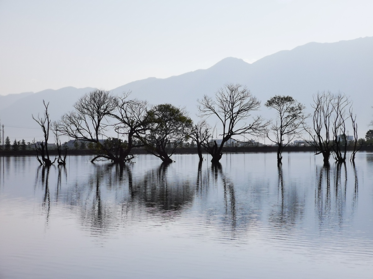 清晨湖光山色之树影黄龙潭晨光之一