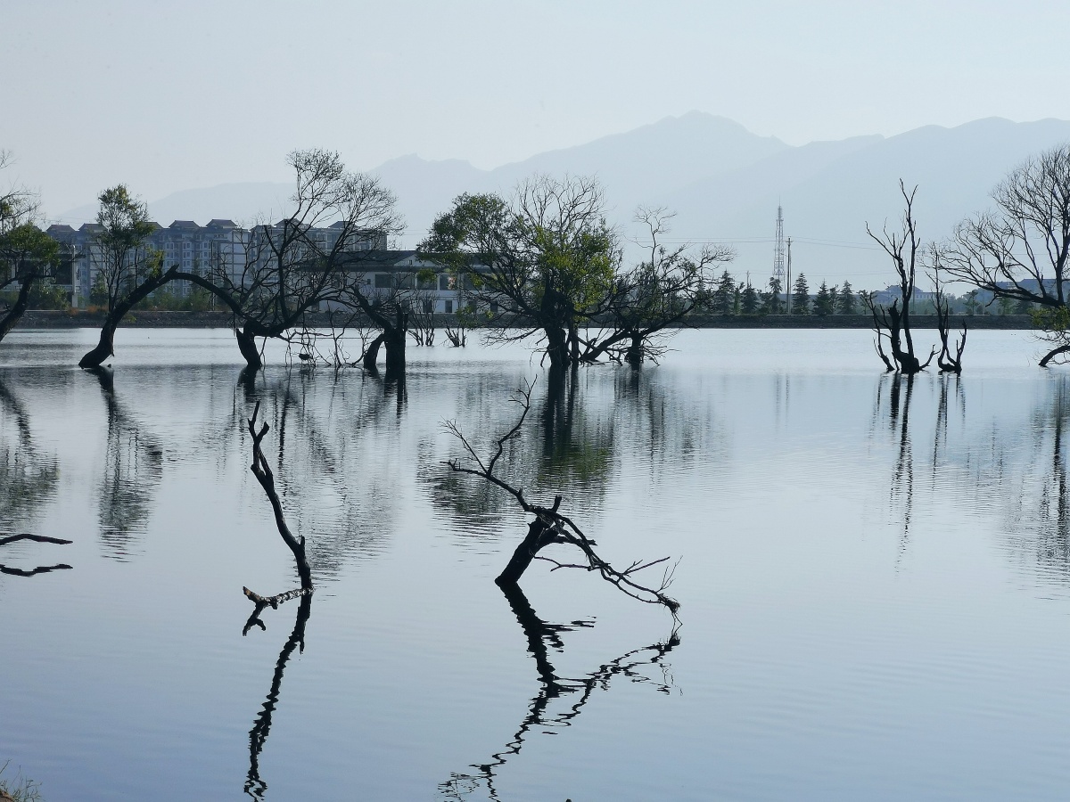 清晨湖光山色之树影黄龙潭晨光之一