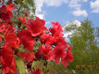 DSCN4308.JPG