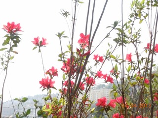 DSCN4365.JPG