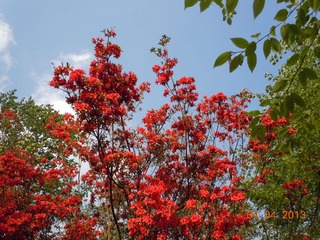 DSCN4399.JPG