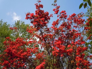 DSCN4410.JPG