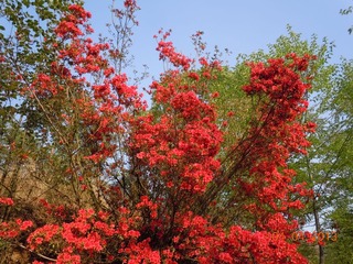 DSCN4419.JPG
