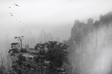 雨后的张家界