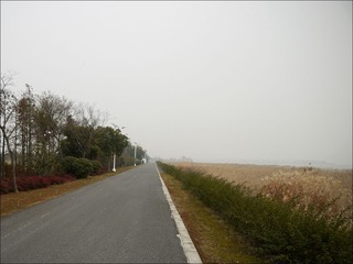 pp0647.jpg