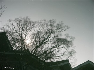 pp0689.jpg