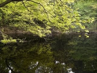 pp0733.jpg