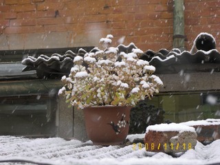 雪·花