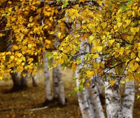 IMG_0331.jpg