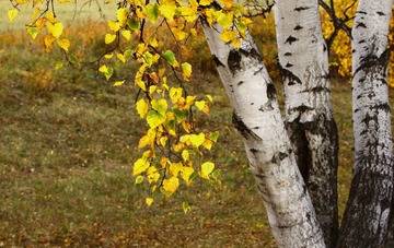 IMG_0831.jpg
