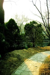 花园3