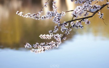 2 - 副本.jpg