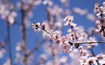 6 - 副本.jpg