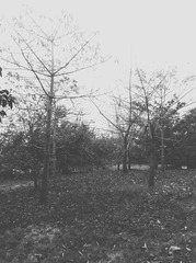 20131114_IMG_0843