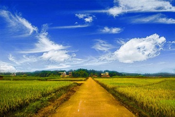 IMG_9270-2
