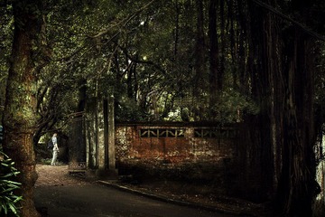 IMG_9895.jpg
