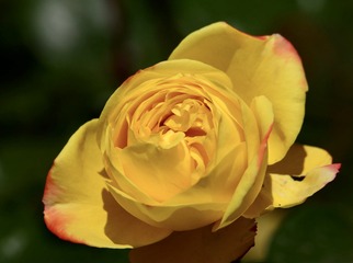 47733B09-2F28-4CEB-BB94-77E221D32B62/L0/001