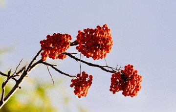 717E283B-4681-40D1-8D04-016877BED972/L0/001