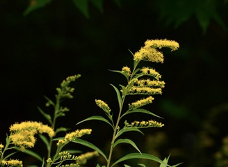 B4115716-0C50-4664-AEB1-211EF6353FE1/L0/001